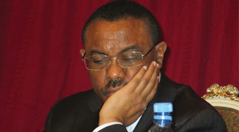 PM Hailemariam may have taken more assignment with him than he came prepared for