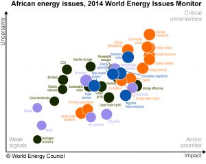 African Energy leaders