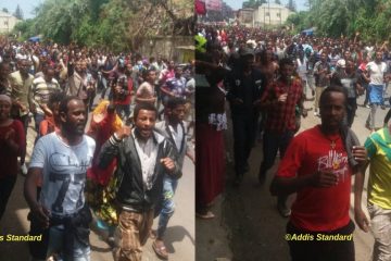 https://addisstandard.com/wp-content/uploads/2018/09/demo-in-Addis-360x240.jpg