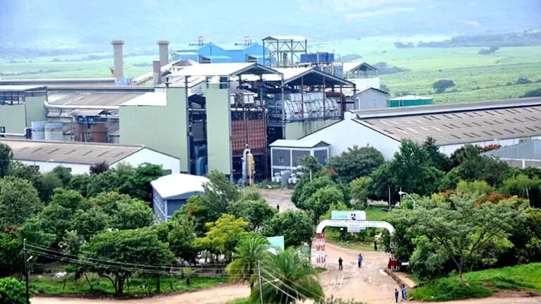 News: Fincha sugar factory stops production amid continued instability in Western, Central Oromia
