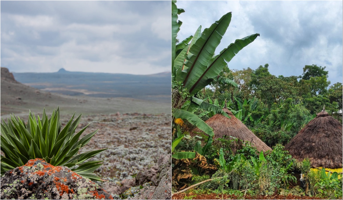 #ASDailyScoop: UNESCO grants world heritage status to Bale Mountains National Park, Gedeo Cultural Landscape