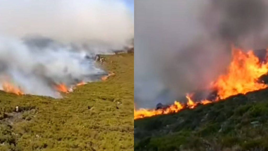 Forest fire rages for over a week on Mount Galama in Oromia’s Arsi zone, residents report no gov’t response